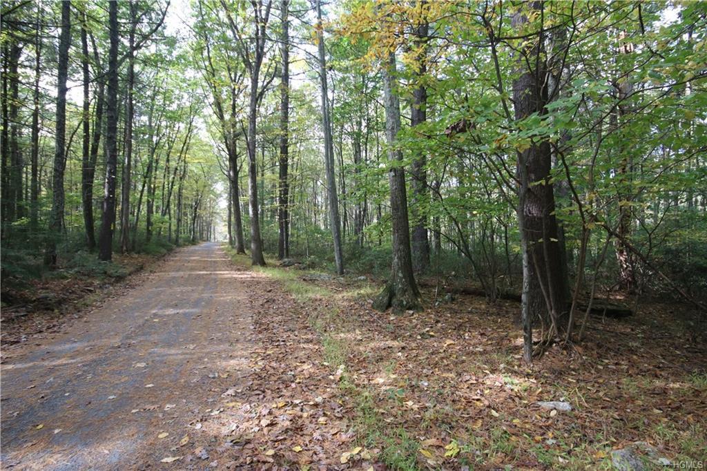 Allen Road - Photo 1