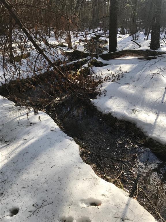 00 Grassy Swamp - Photo 1