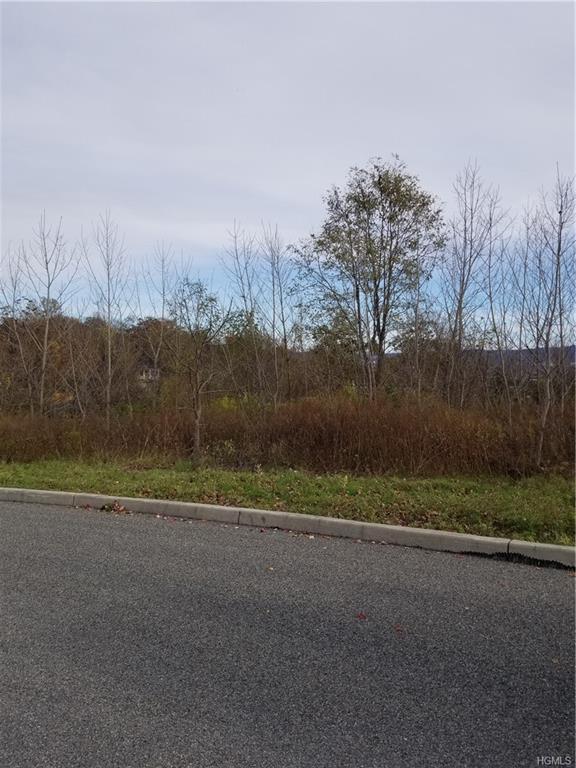 Lot 39 Orchard Ridge - Photo 1