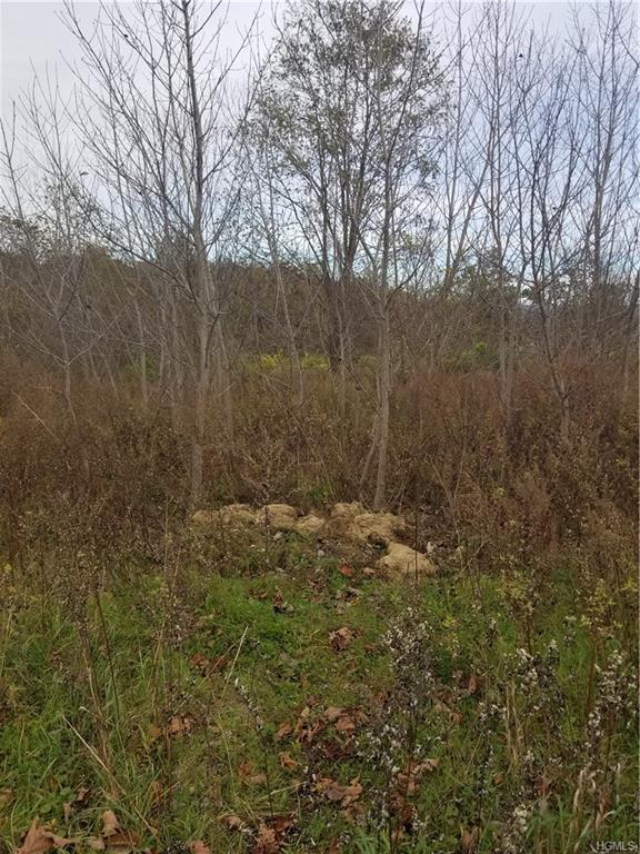 Lot 40 Orchard Ridge - Photo 1