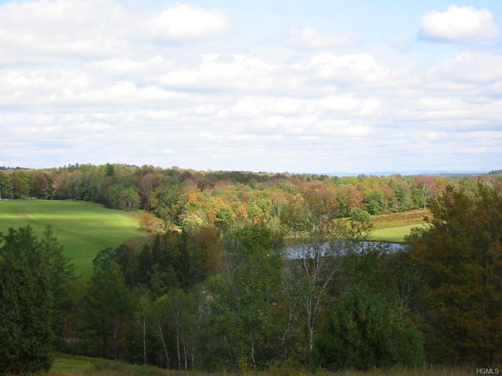 Plank Road - Photo 1