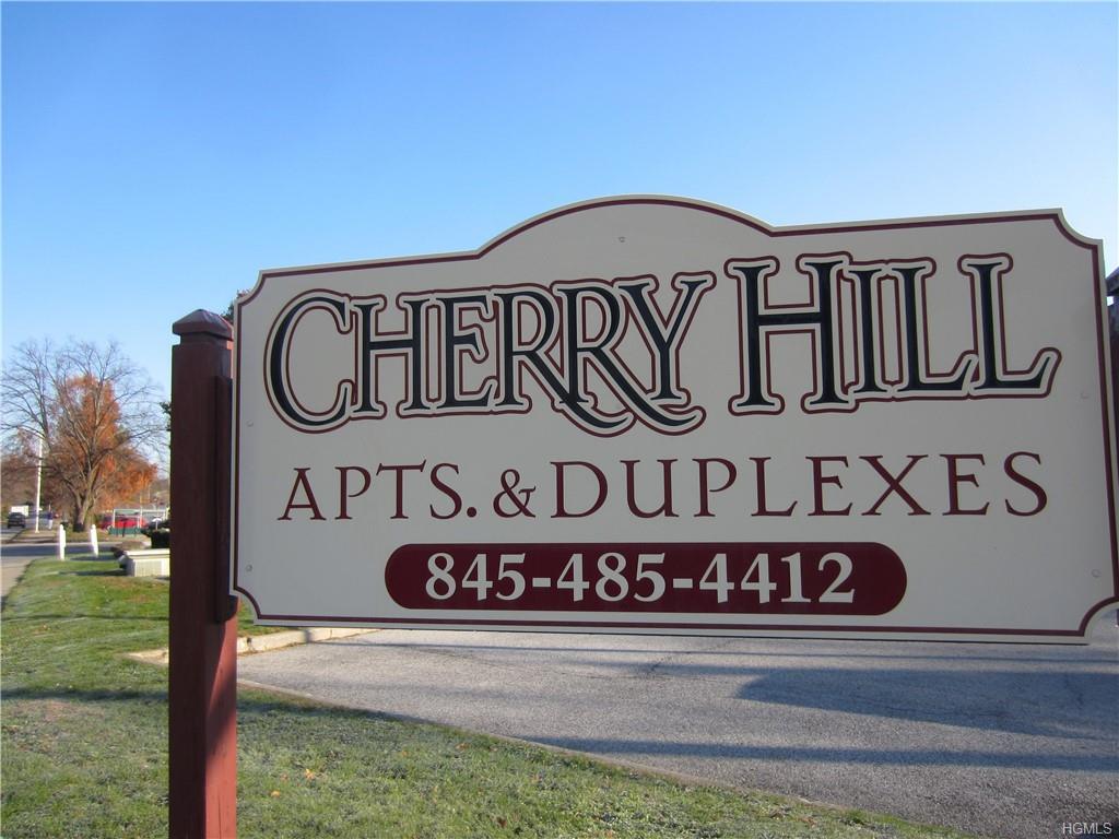 1009 Cherry Hill Drive - Photo 1
