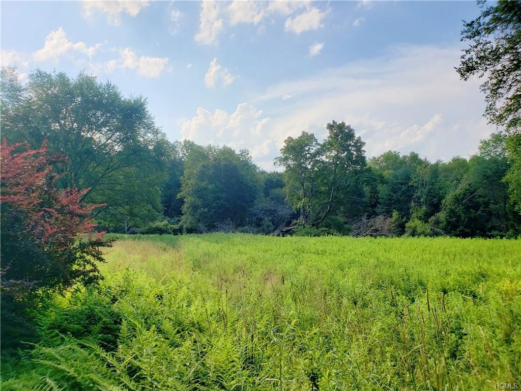 Burr Road - Photo 1