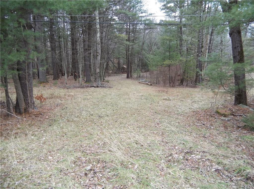 Mountaindale Road - Photo 1