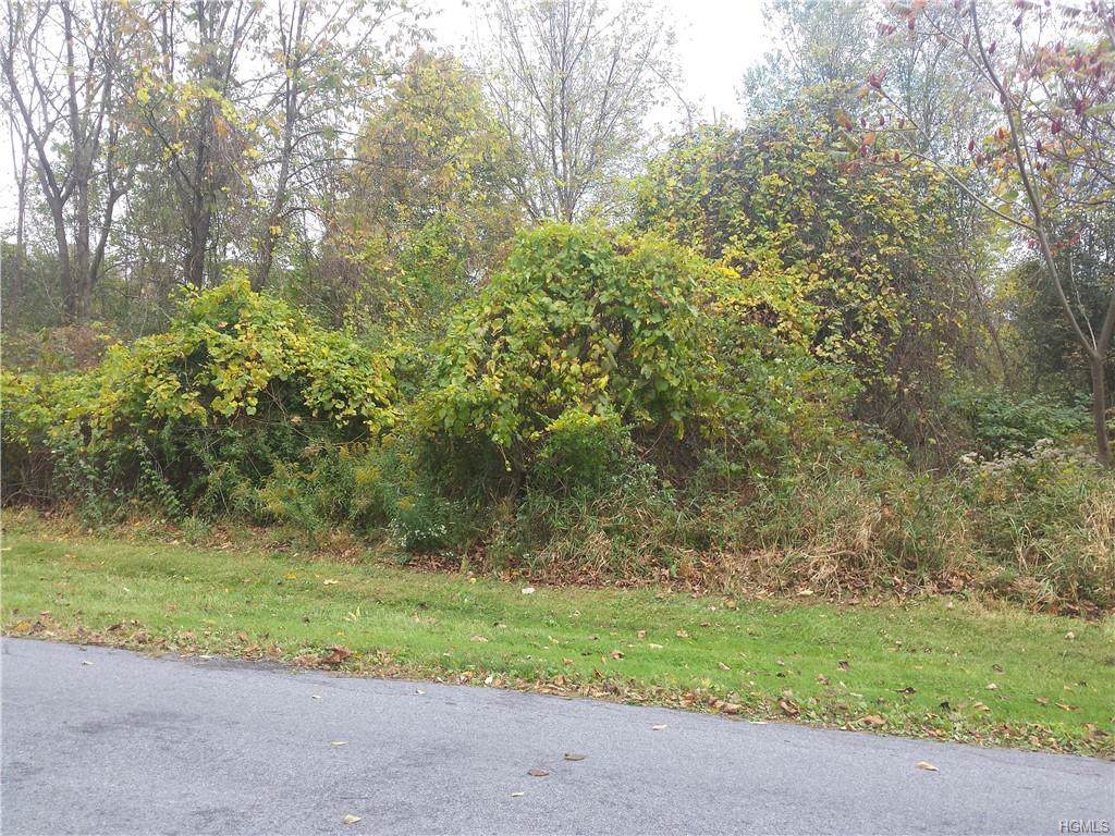 Eatontown Road - Photo 1