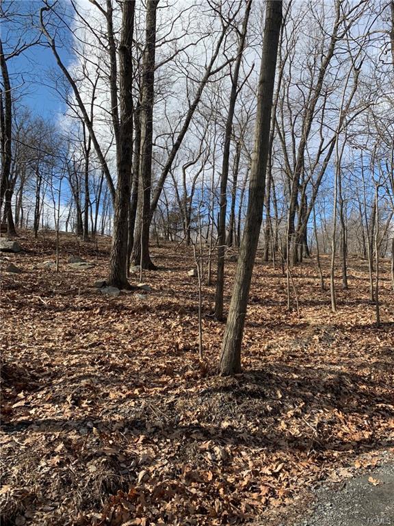 Lot 5 Alley Road - Photo 1