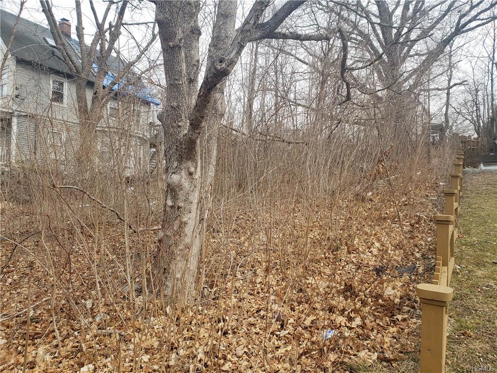 170 Kensico Avenue - Photo 1