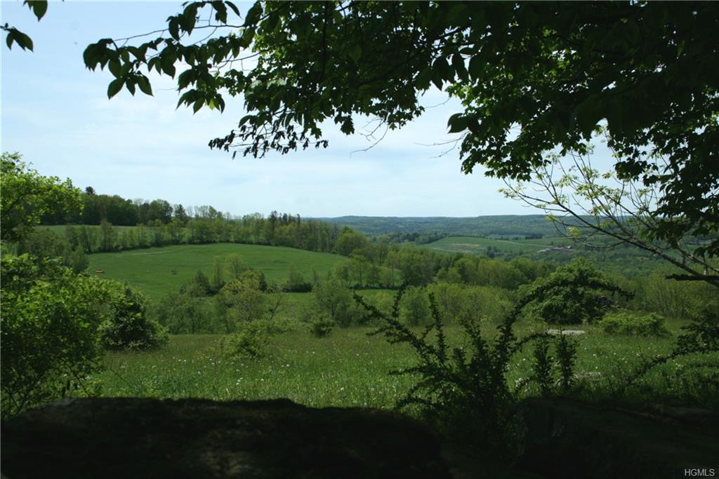 Schwartz - Photo 1