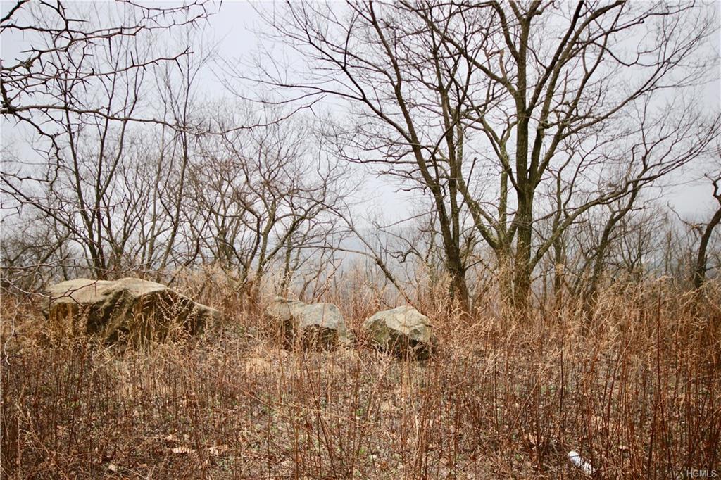 11 High Mountain Road - Photo 1