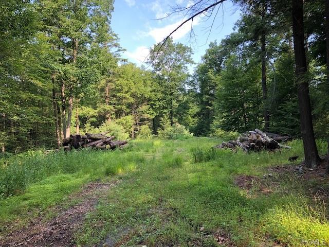 Old Cahoonzie Road - Photo 1