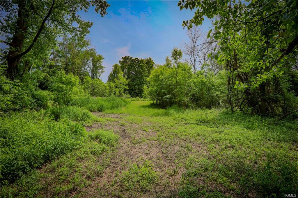 0 Ten Mile River Road - Photo 1