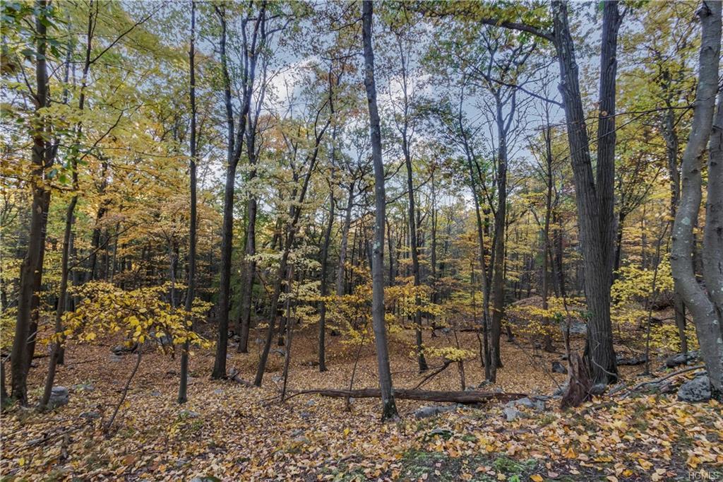 Tuxedo Road - Photo 1