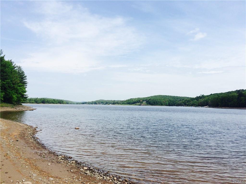 Lot 29 Woodstone Trail - Photo 1