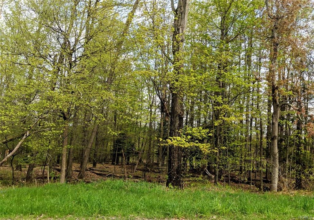 County Route 164 - Photo 1
