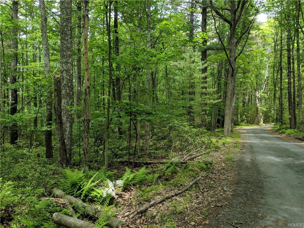 Allen Road - Photo 1