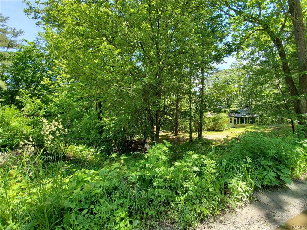 459 Shawanga Lodge Road - Photo 1