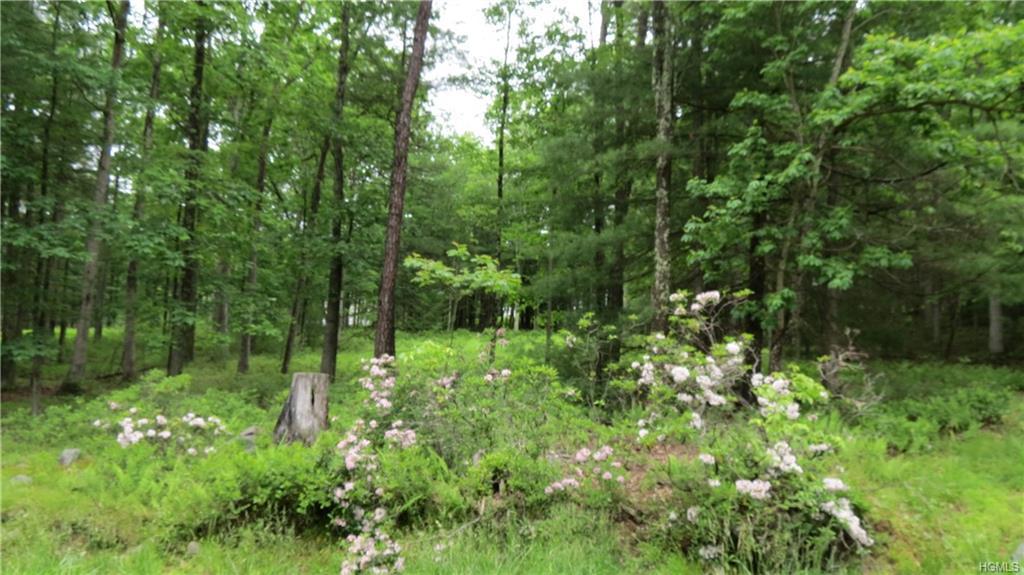 Lot #11 Ivan Franco Road - Photo 1