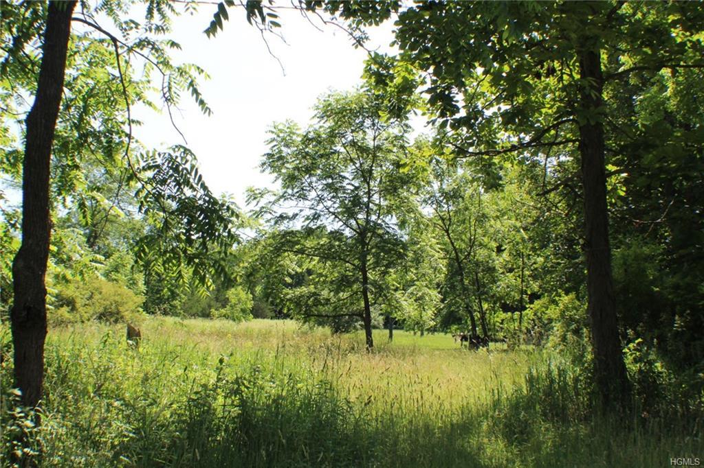 Youngblood Road - Photo 1