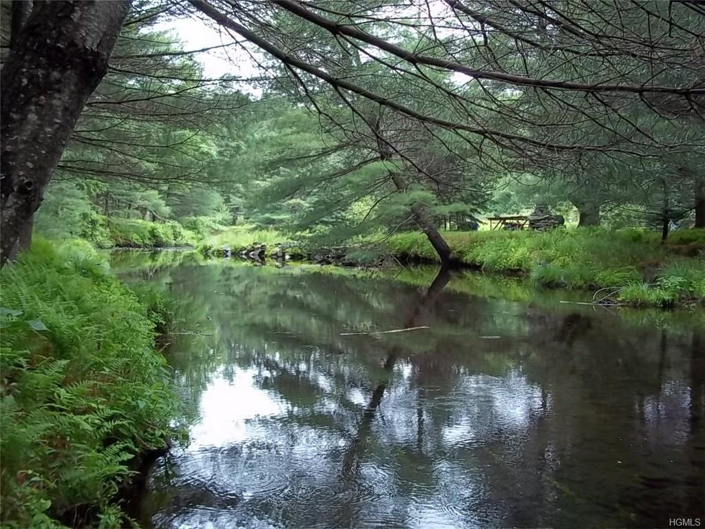 Schumacher Pond Road - Photo 1