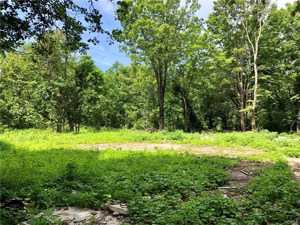 Forest Road - Photo 1