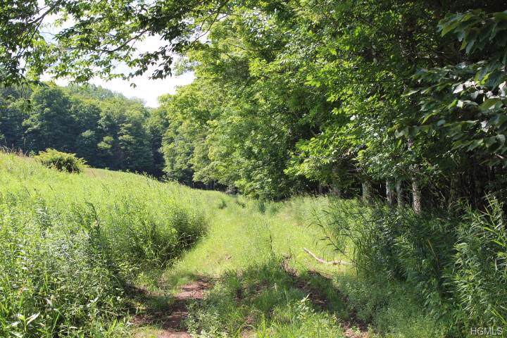 Treyz Hill Road - Photo 1