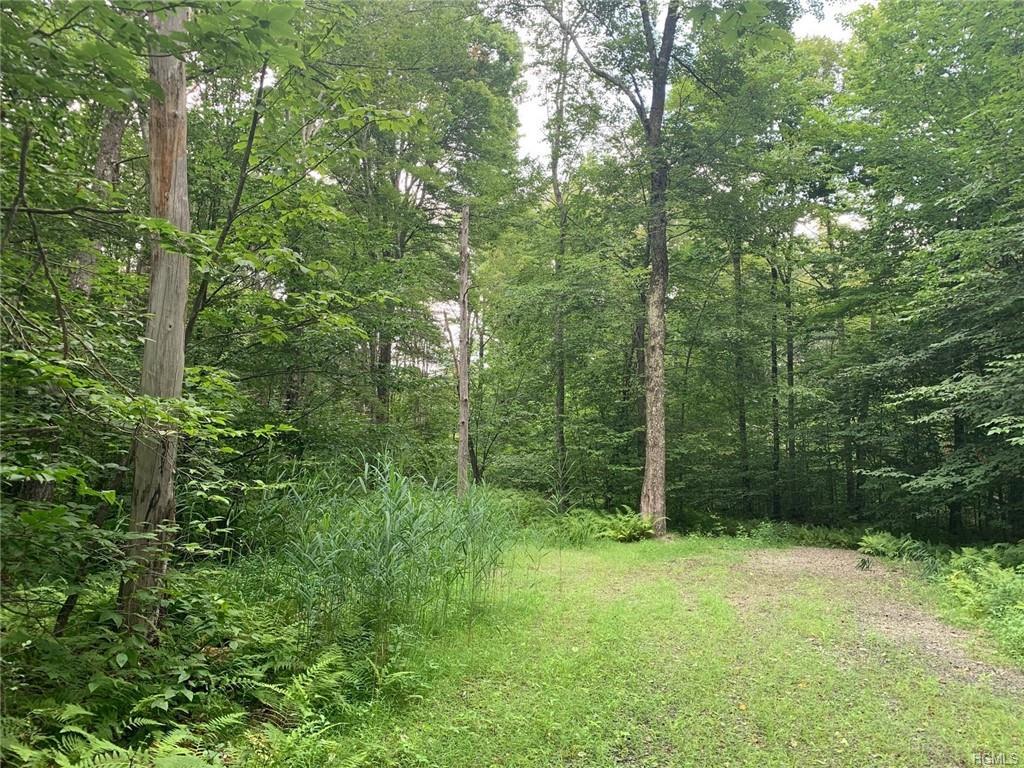 Lot 39 Chapin Trail - Photo 1