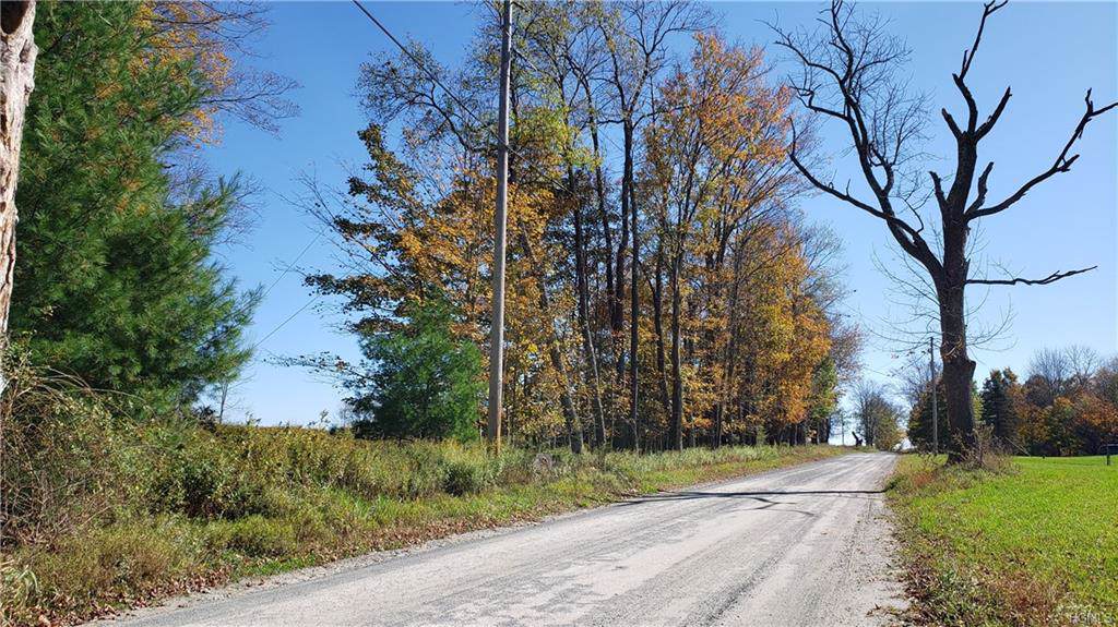 Walt Bishop Road Tr 4 - Photo 1
