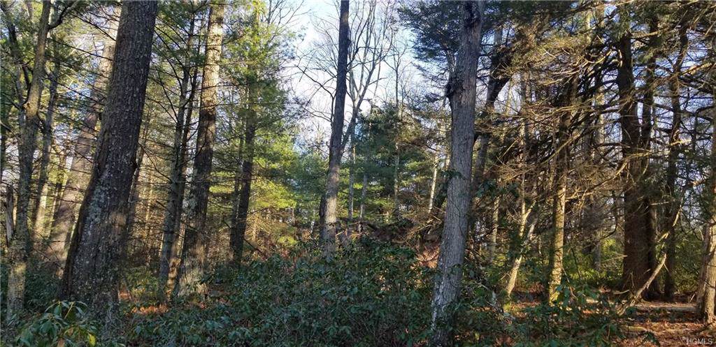 Lot 11 County Rd 26 - Photo 1