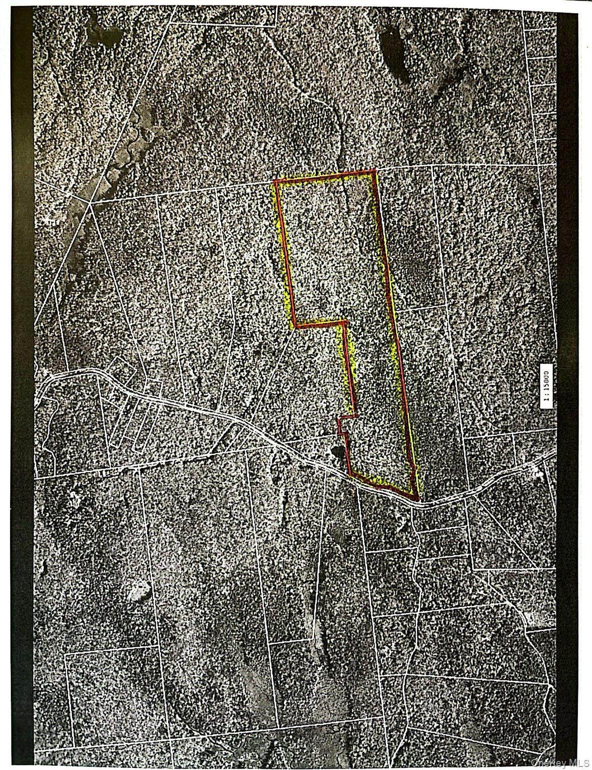 702 Jerseyfield Road - Photo 1