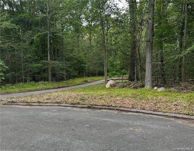  Lot 13 Florence Drive - Photo 1