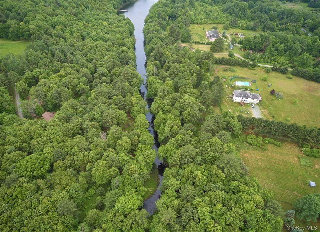 Lot 1 Chapin Trail - Photo 1