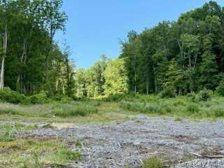 3 Chelsea Road - Photo 1