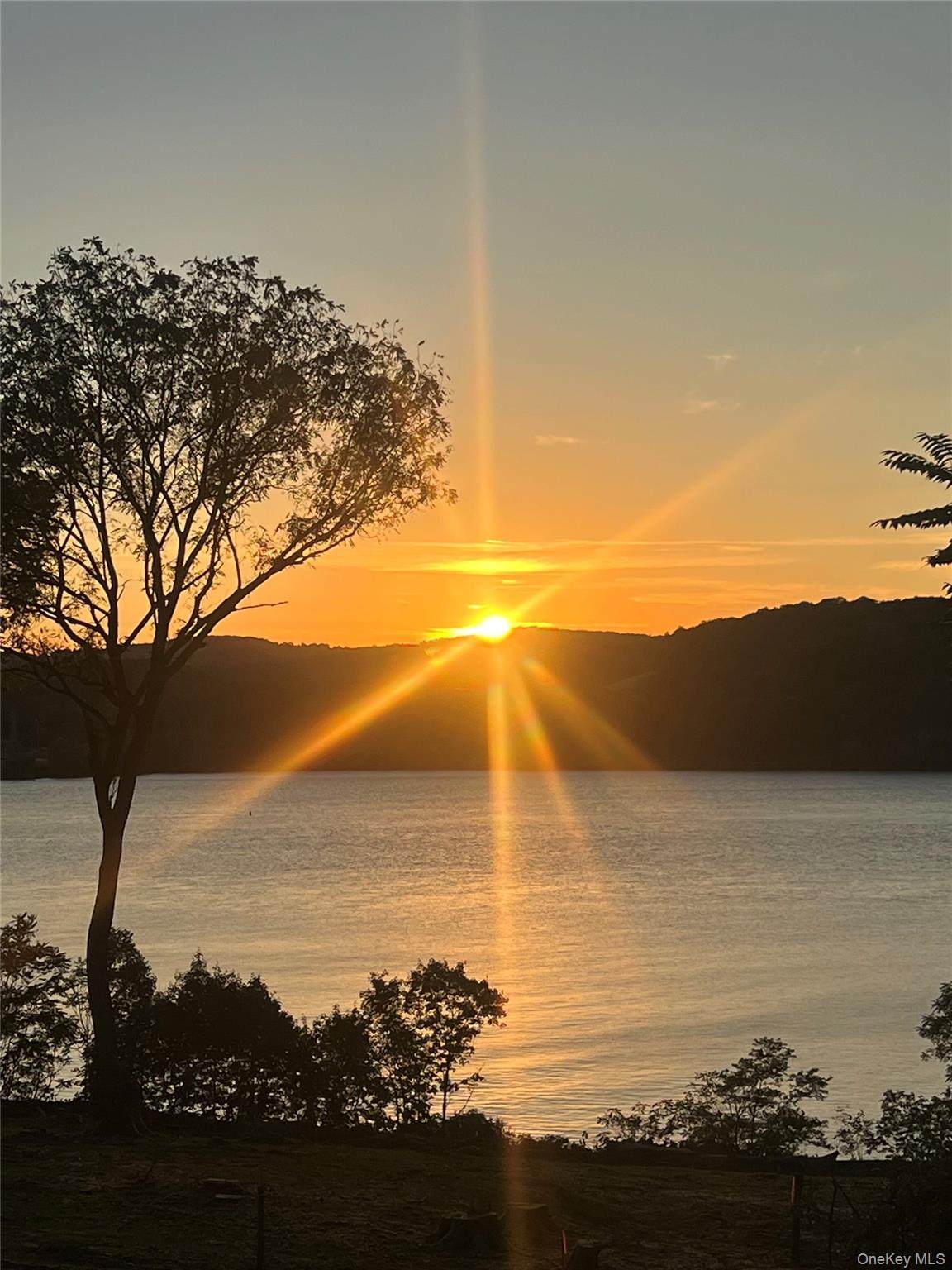  Wheeler Hill Road - Photo 1