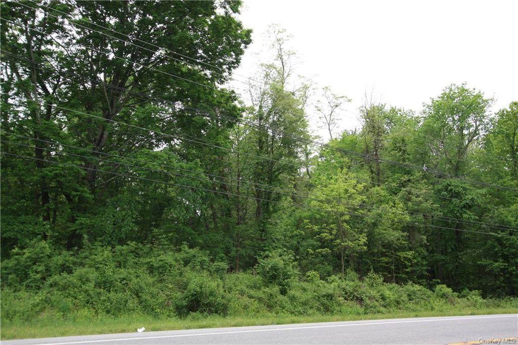 Ss State Route 17K Ss - Photo 1