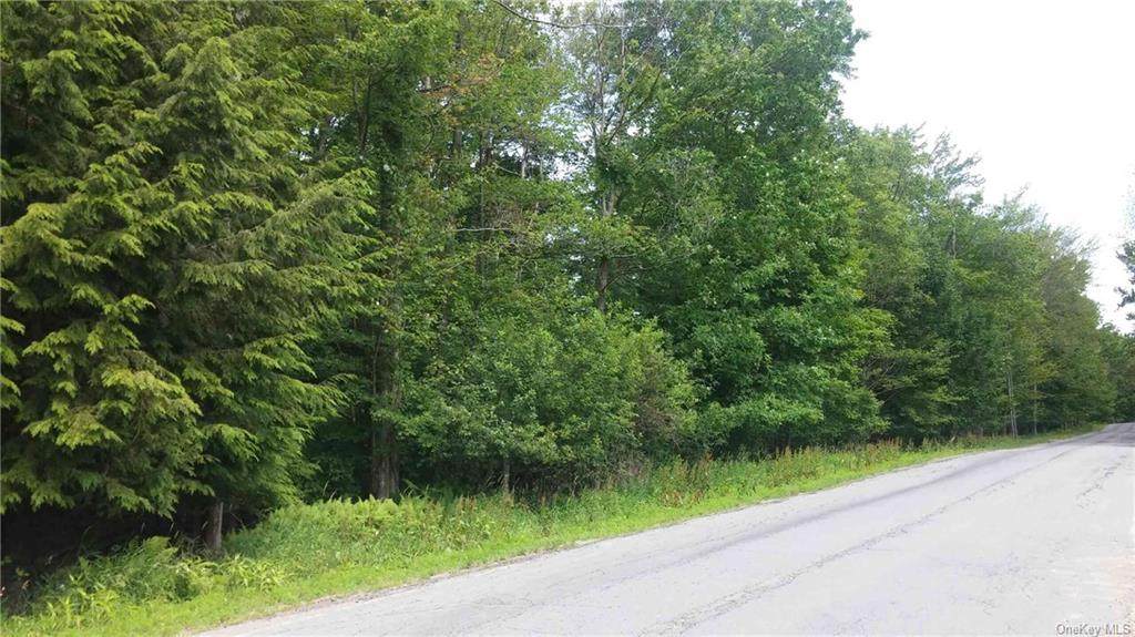 Aberson Road Tr 4 - Photo 1