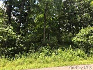 Big Woods Road - Photo 1
