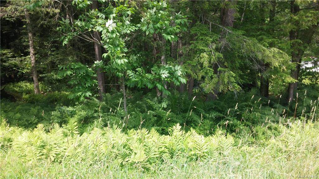 Interstate 86 - Photo 1