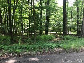 Ozark Trail - Photo 1
