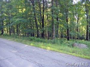 Todd Road Tr 11 - Photo 1