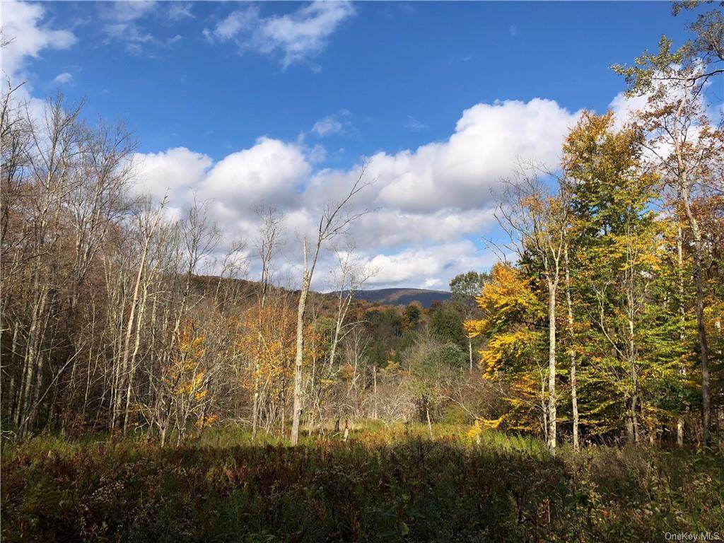 Shin Creek Road - Photo 1