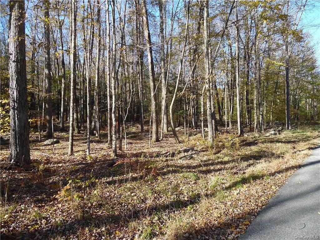 Hilltop Road - Photo 1