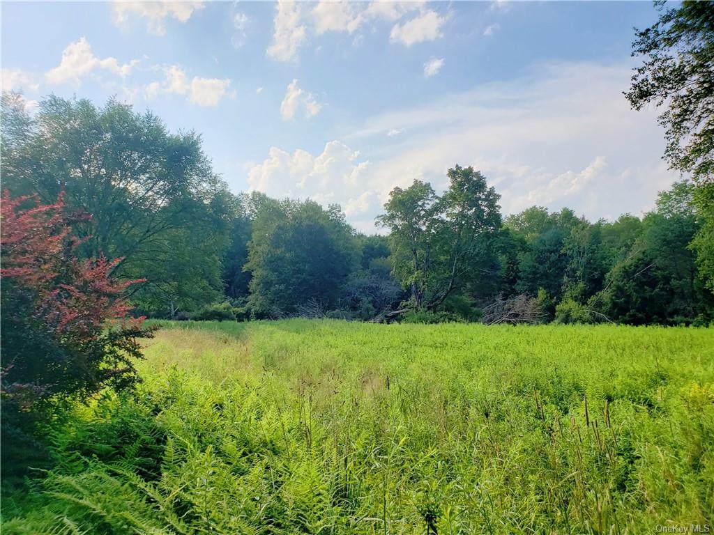 Burr Road - Photo 1
