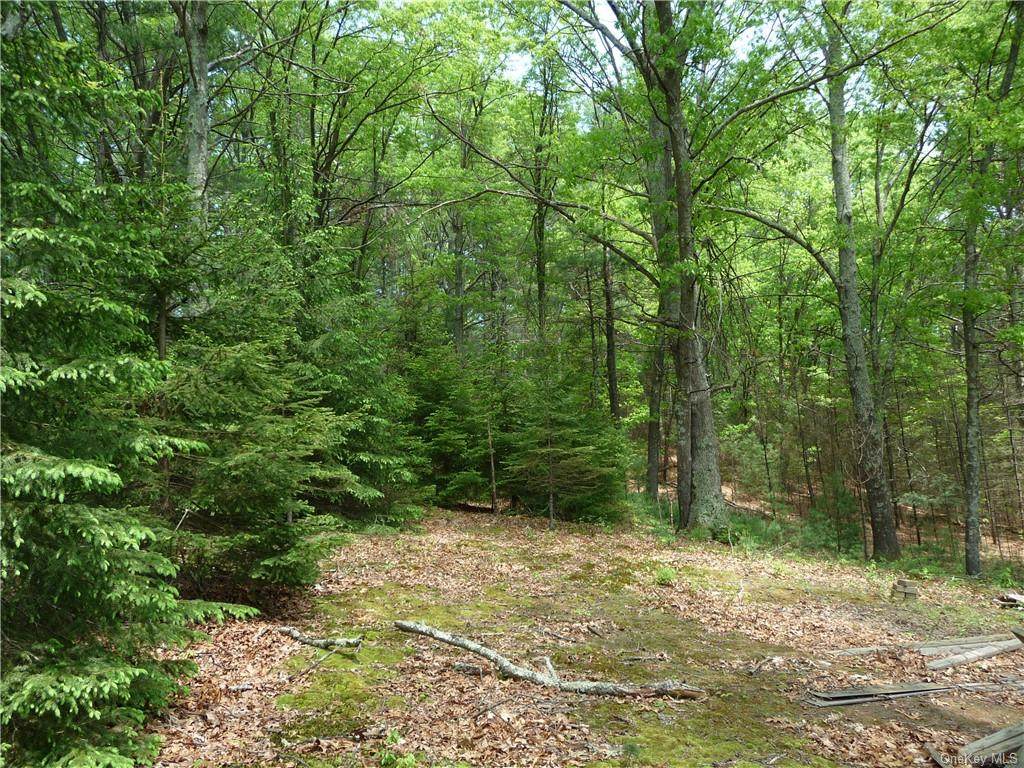 Forestburgh Road - Photo 1
