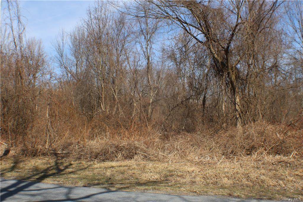 Eatontown Road - Photo 1