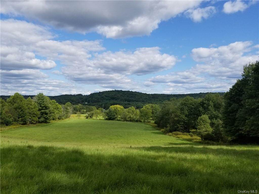 2715 State Route 17B - Photo 1