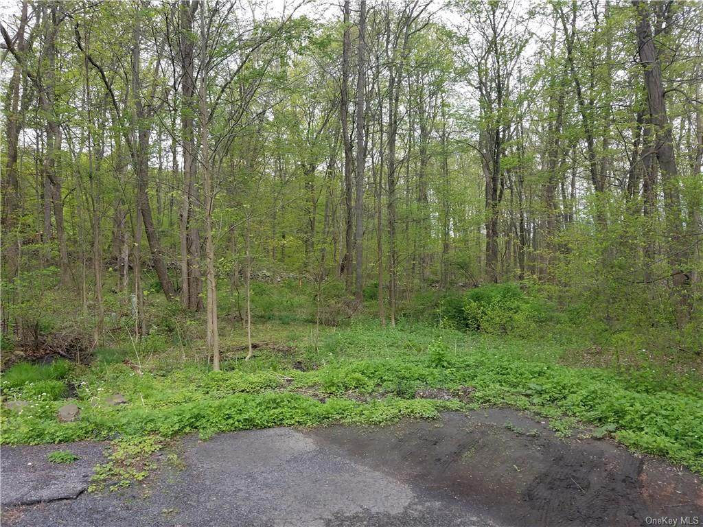 318 Rock Cut Road - Photo 1