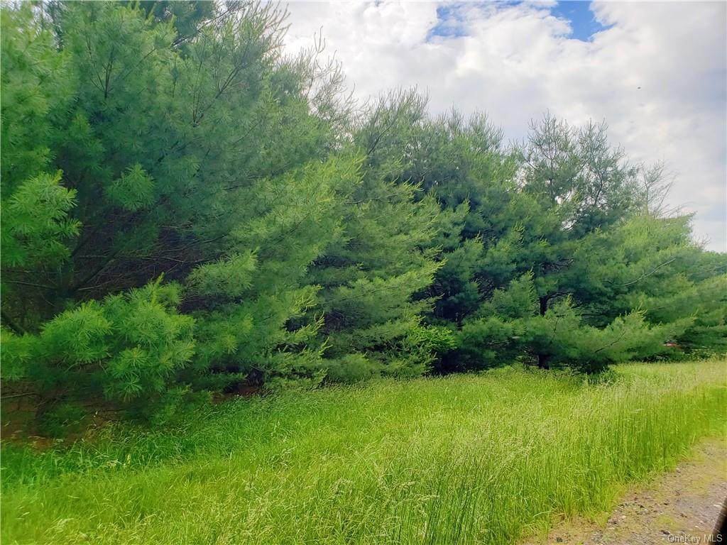 Co Road 22 - Photo 1