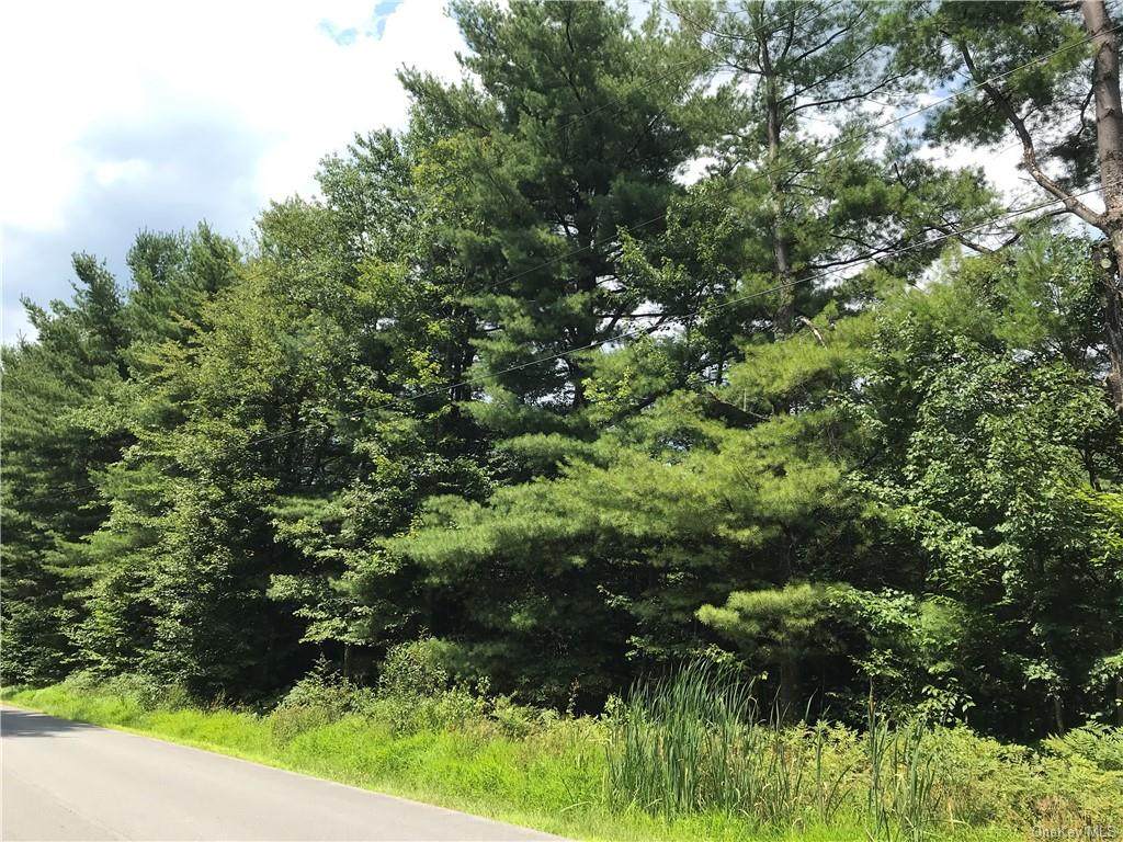 Brophy Road Tr 6 - Photo 1