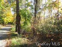 10 Ivy Rock Road - Photo 1