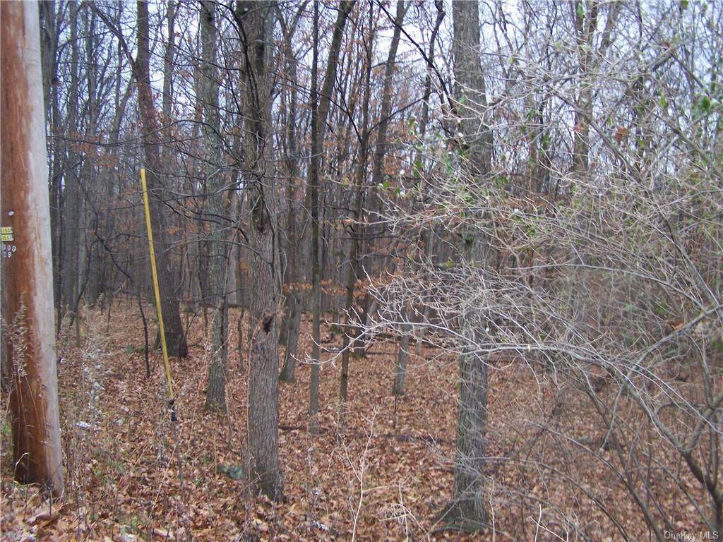 Reinhardt Road - Photo 1